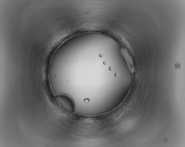 X0000092010635200709201531