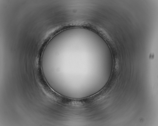 X0000092010636200709201531