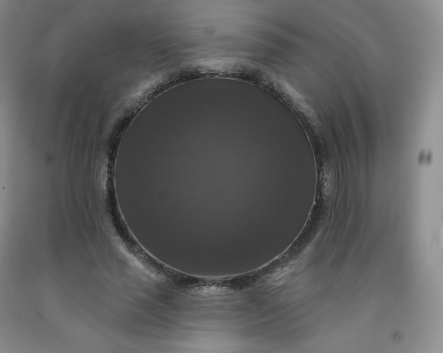 X0000092010637200709201531