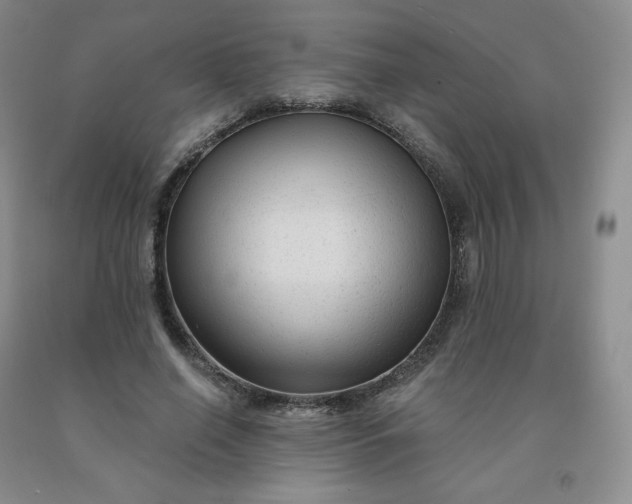 X0000092010638200709201531