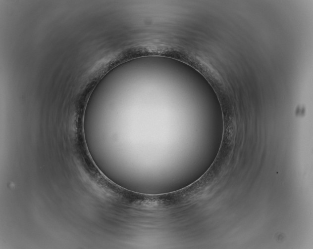 X0000092010639200709201531