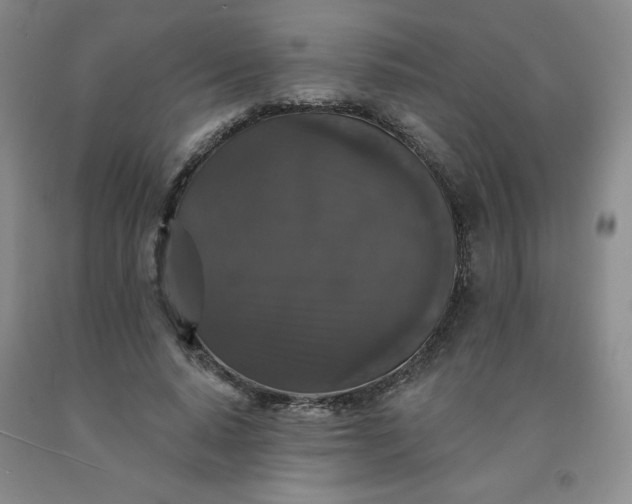 X0000092010640200709201531