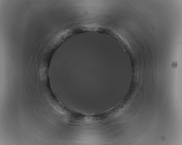 X0000092010641200709201531