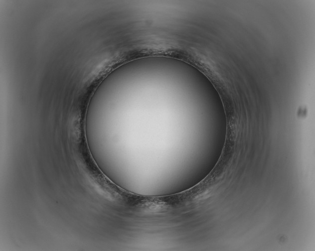 X0000092010642200709201531