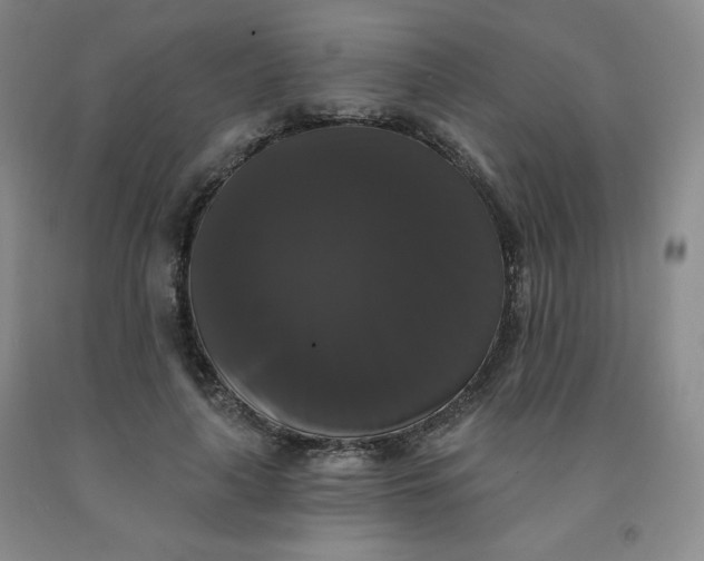 X0000092010643200709201531