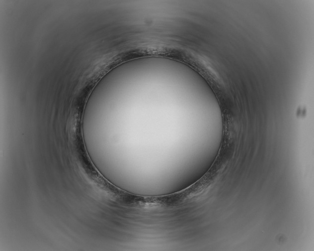 X0000092010645200709201531