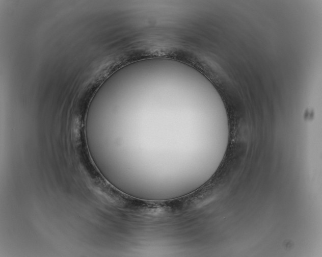 X0000092010646200709201531