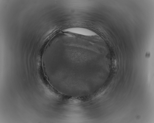 X0000092010648200709201531
