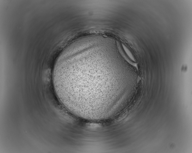X0000092010649200709201531