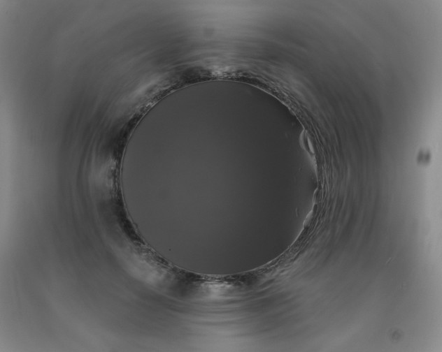 X0000092010650200709201531