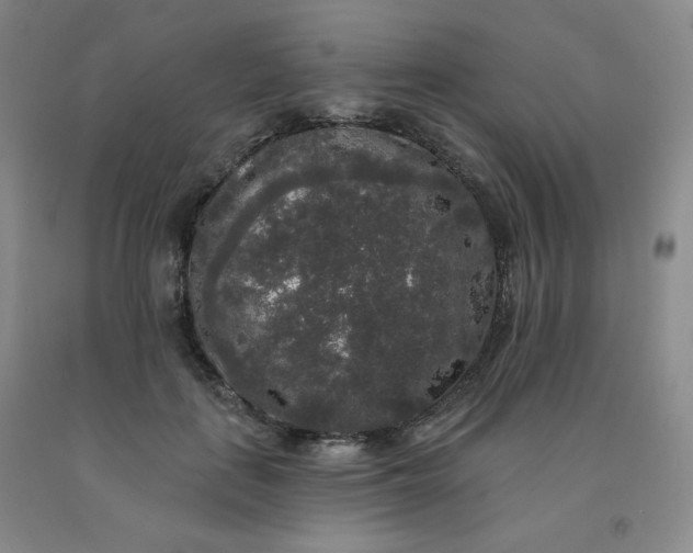 X0000092010651200709201531