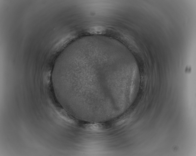 X0000092010652200709201531
