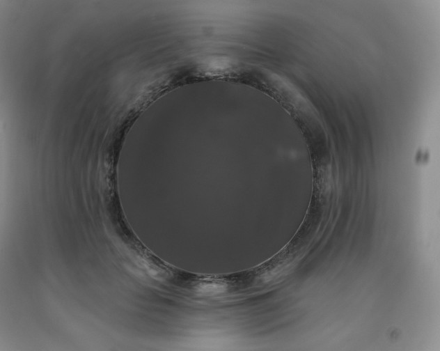 X0000092010653200709201531