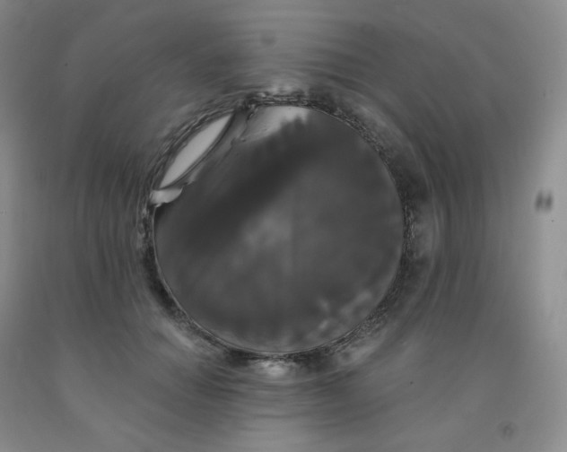 X0000092010654200709201531
