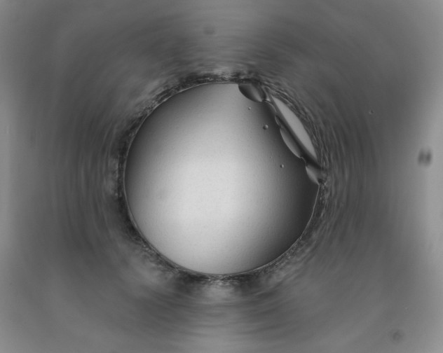 X0000092010656200709201531