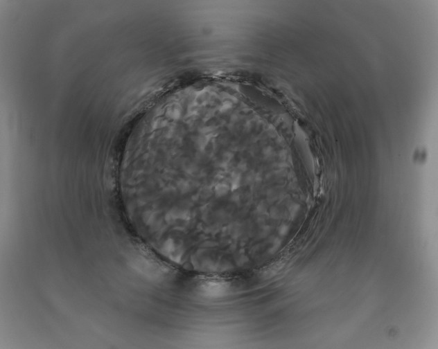 X0000092010658200709201531