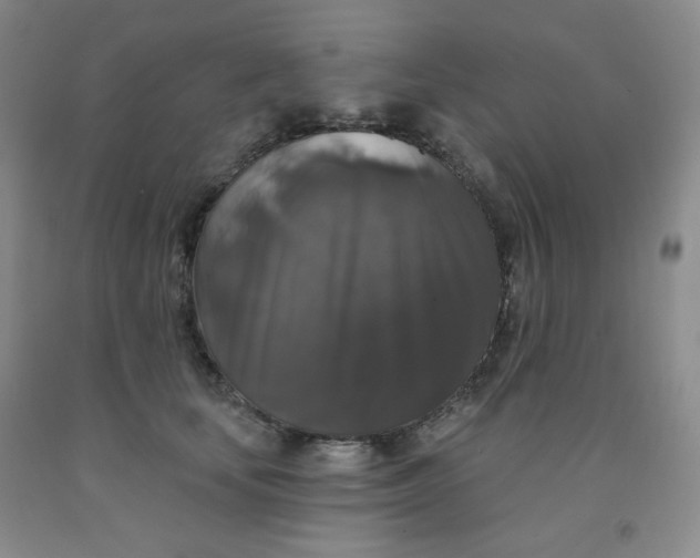 X0000092010659200709201531