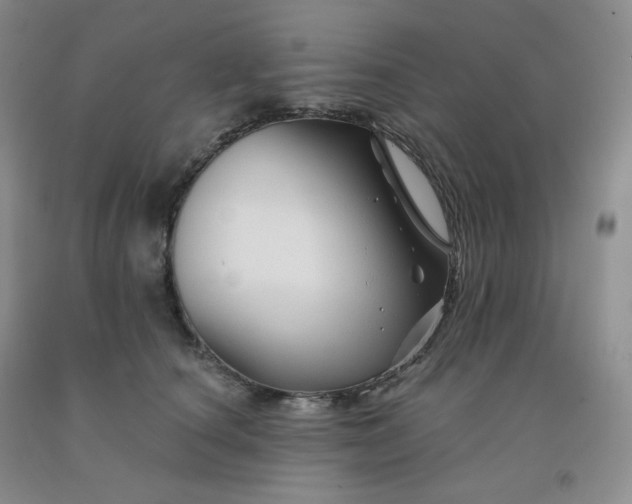 X0000092010660200709201531