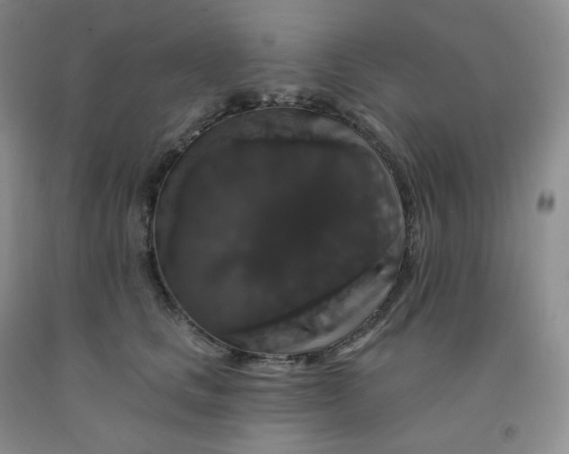X0000092010661200709201531