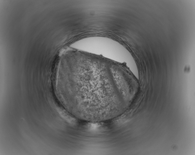 X0000092010662200709201531