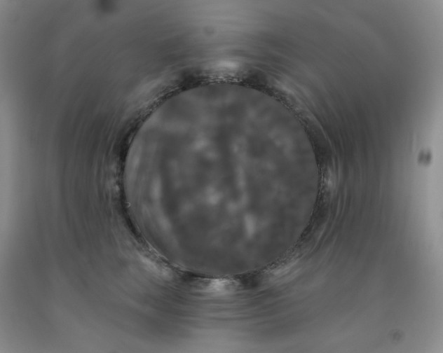 X0000092010663200709201531