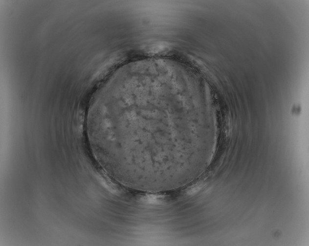 X0000092010664200709201531
