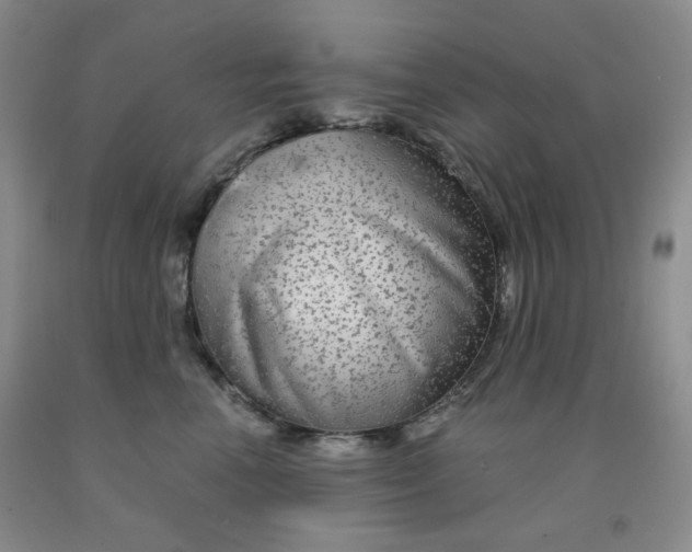 X0000092010666200709201531