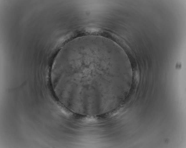X0000092010668200709201531