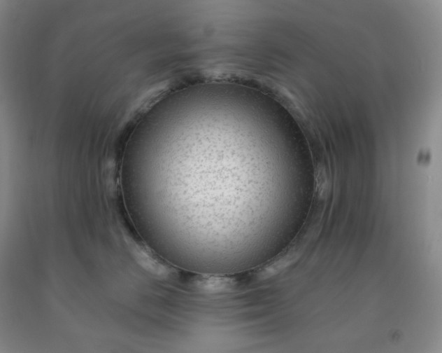 X0000092010670200709201531