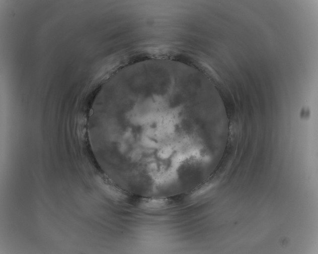 X0000092010671200709201531