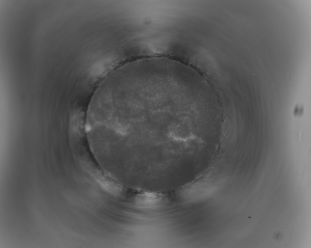X0000092010672200709201531