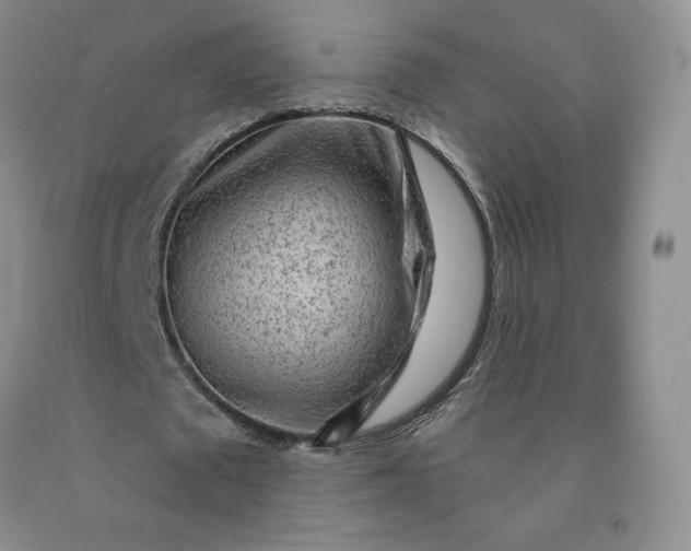 X0000092010673200709201531