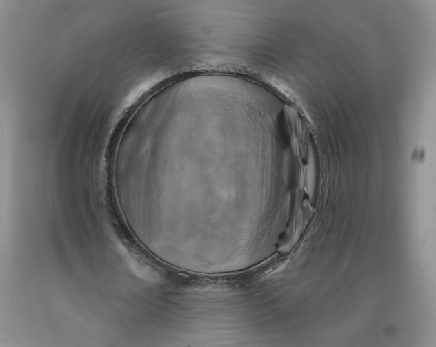 X0000092010674200709201531