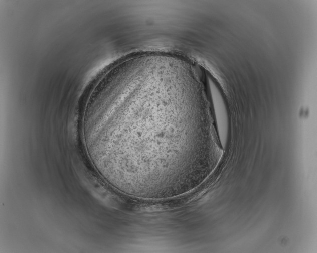X0000092010675200709201531