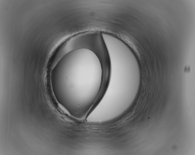 X0000092010676200709201531