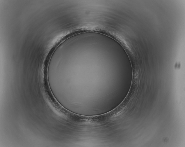 X0000092010678200709201531