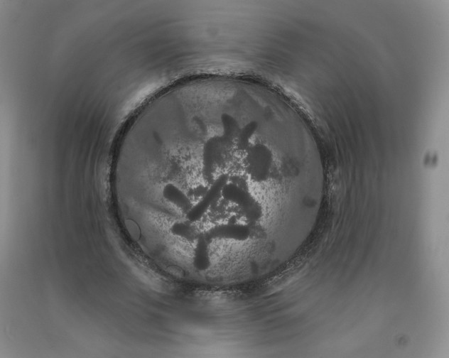 X0000092010679200709201531