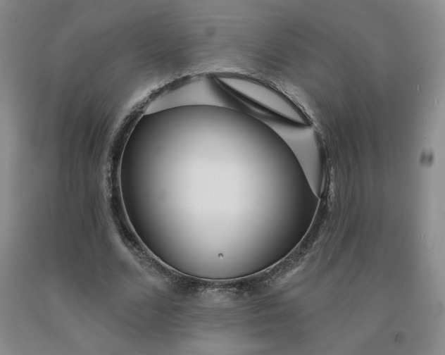 X0000092010680200709201531
