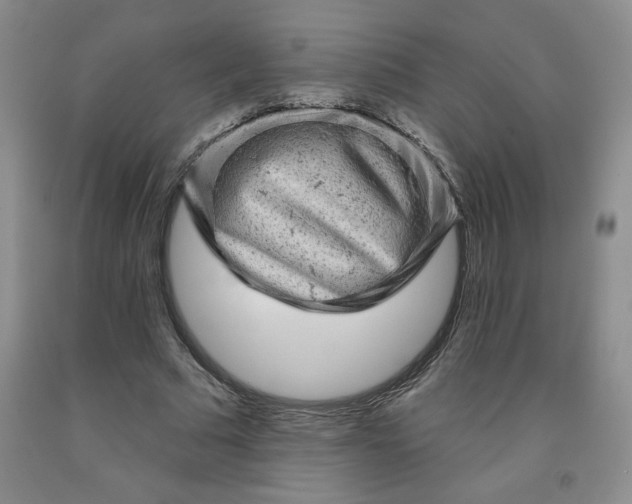 X0000092010681200709201531