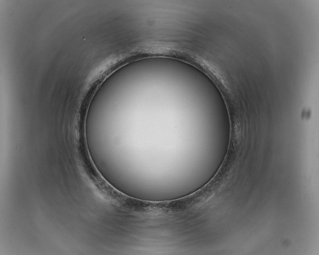 X0000092010682200709201531