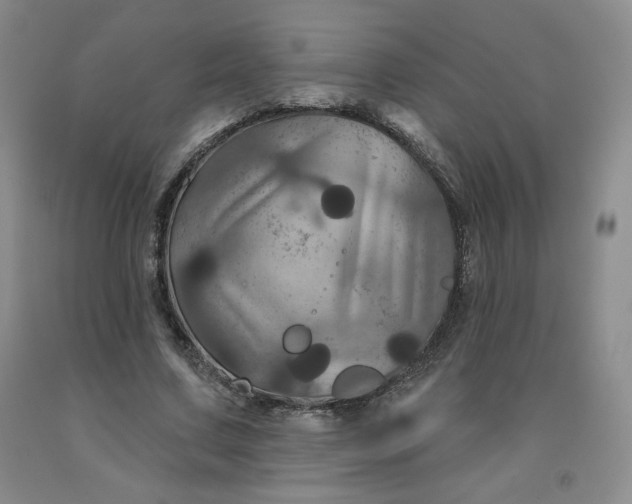 X0000092010683200709201531