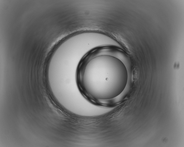 X0000092010684200709201531