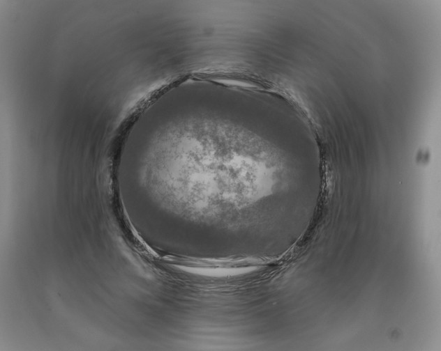 X0000092010688200709201531