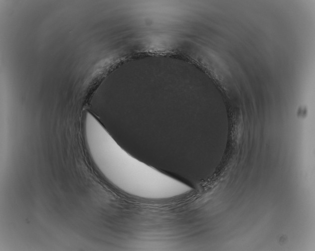 X0000092010689200709201531