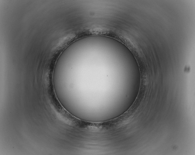 X0000092010690200709201531