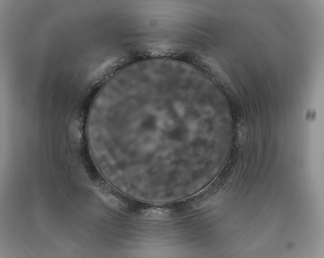 X0000092010691200709201531