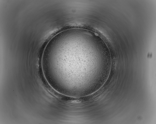 X0000092010692200709201531