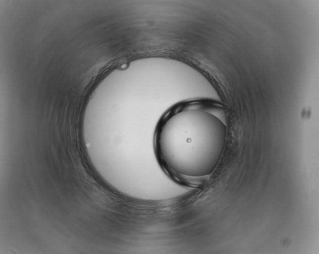 X0000092010693200709201531