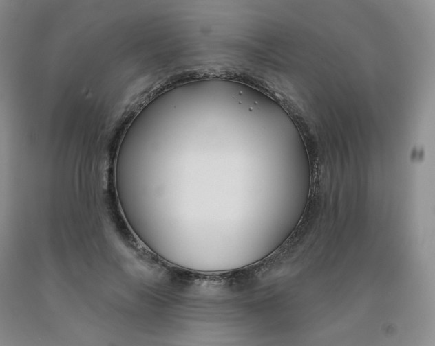 X0000092010694200709201531