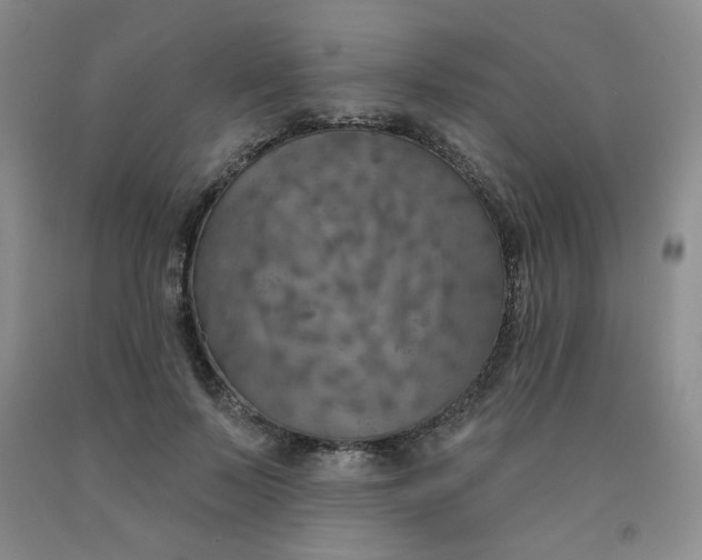 X0000092010695200709201531